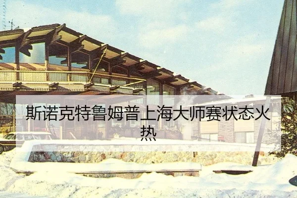 si-nuo-ke-te-lu-mu-pu-shang-hai-da-shi-sai-zhuang-tai-huo-re-2-859.jpg