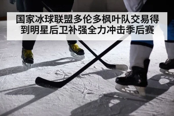 国家冰球联盟多伦多枫叶队交易得到明星后卫补强全力冲击季后赛