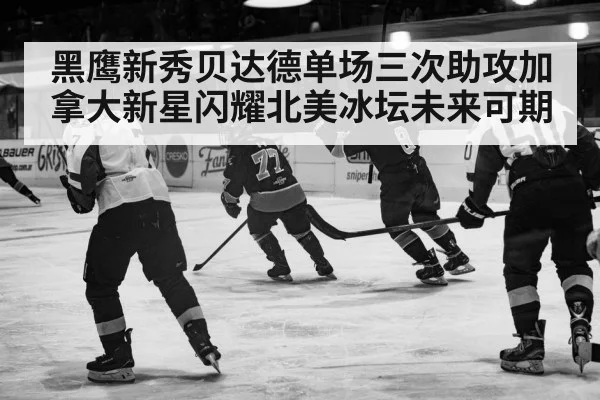 黑鹰新秀贝达德单场三次助攻加拿大新星闪耀北美冰坛未来可期